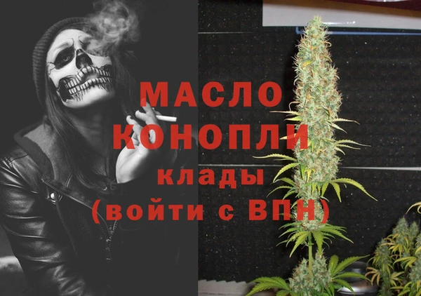 Альфа ПВП Ельня