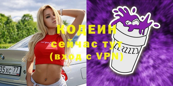 Альфа ПВП Ельня